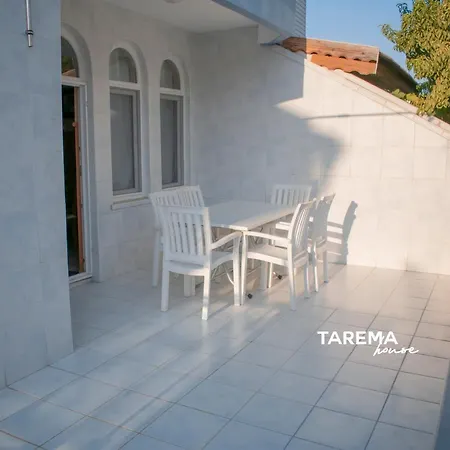 Tarema * 博阿兹肯特