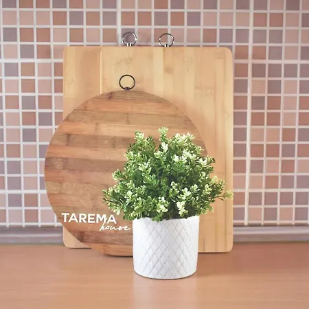 度假居 Tarema